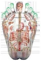 Reflexologie plantaire corps mahalovie