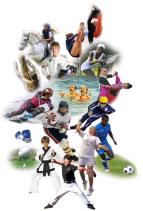 Sport reflexologie plantaire sportif mahalovie